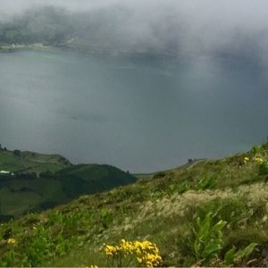 Meet your Posher, Vincent